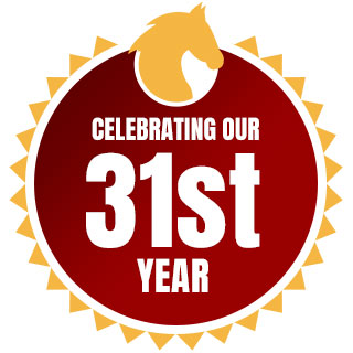 Celebrating Our 31st Year badge image