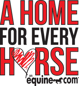 A Home for Every Horse on equine.com