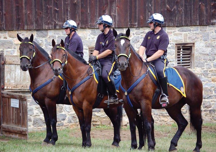 Bethlehem Police Mounted Unit