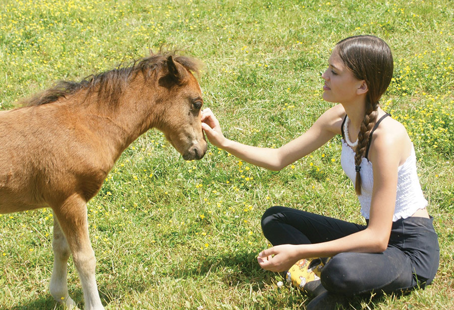 Lexi Myers meets Mini Foal Caden